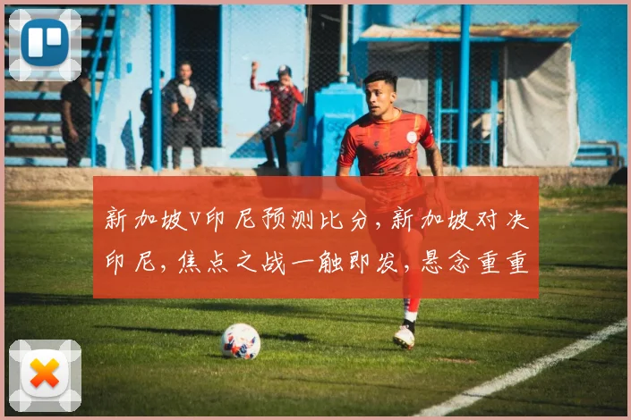 新加坡v印尼预测比分,新加坡对决印尼,焦点之战一触即发,悬念重重