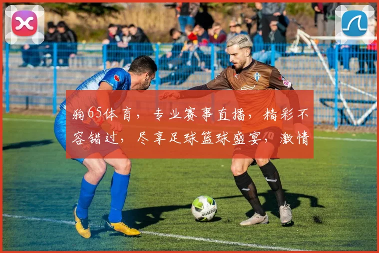 狗65体育，专业赛事直播，精彩不容错过，尽享足球篮球盛宴，激情四溢
